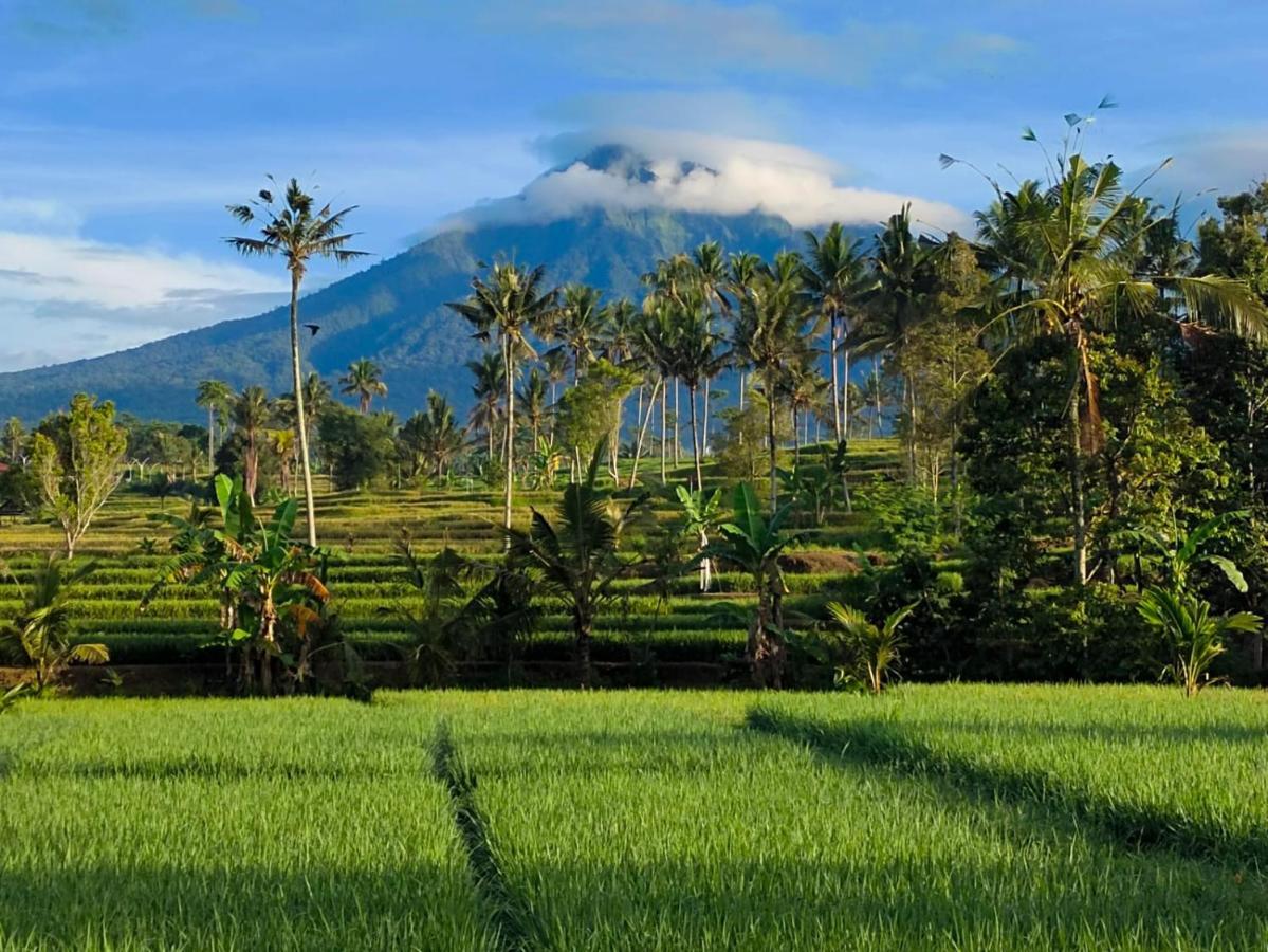 Sawah Ijen Ξενοδοχείο Licin Εξωτερικό φωτογραφία