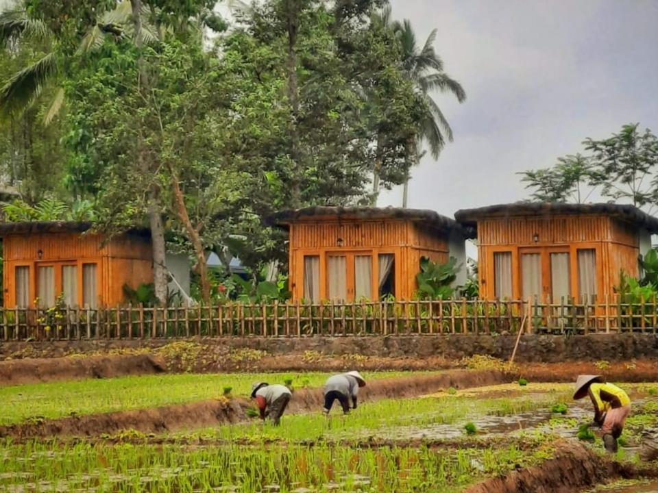 Sawah Ijen Ξενοδοχείο Licin Εξωτερικό φωτογραφία