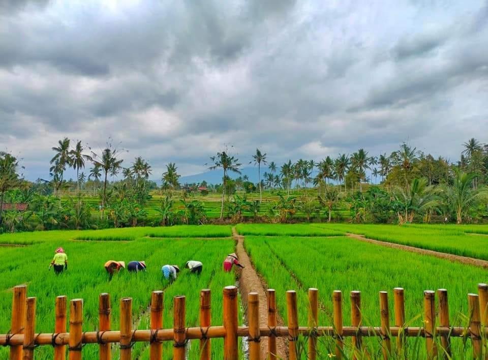 Sawah Ijen Ξενοδοχείο Licin Εξωτερικό φωτογραφία